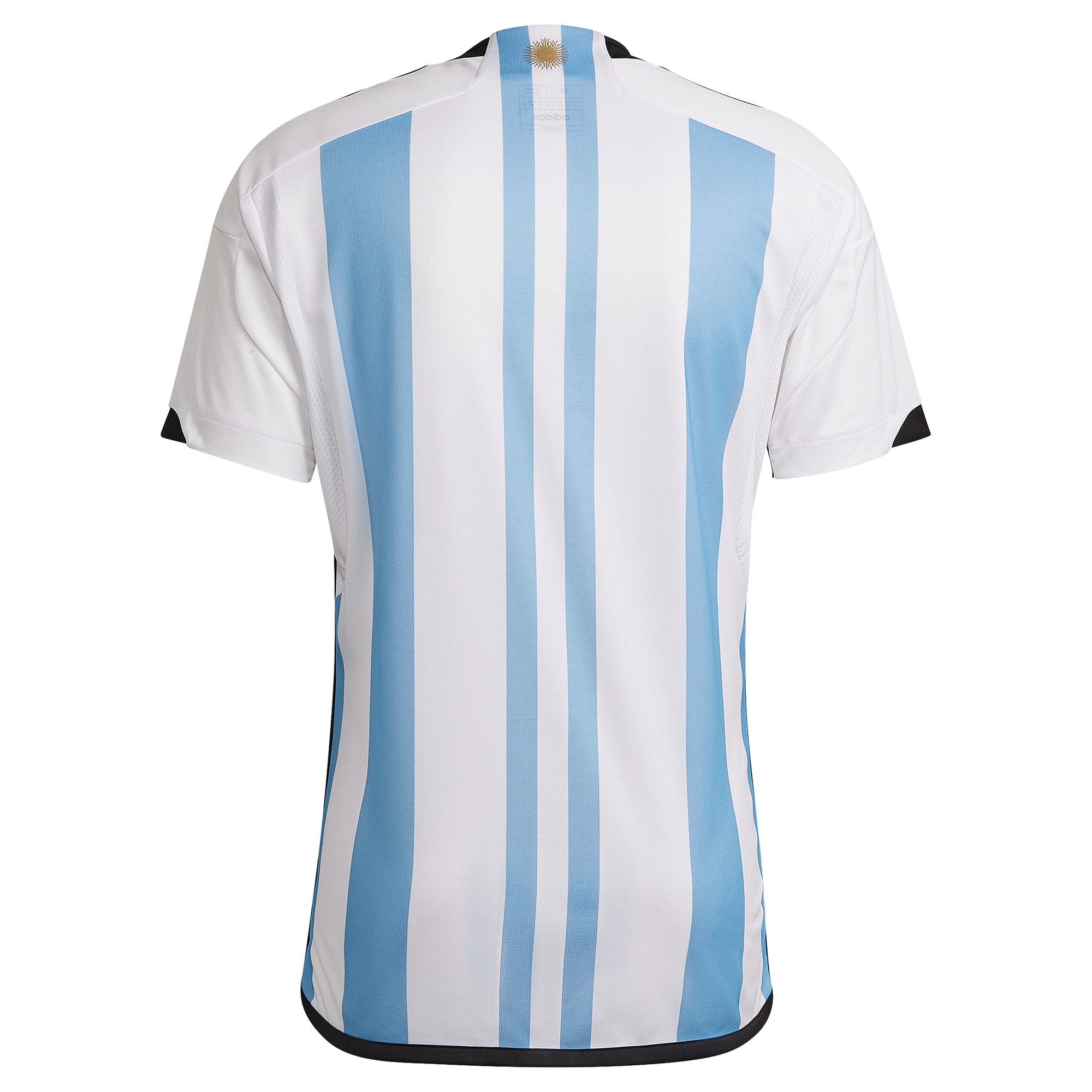 Argentina National Team 2022/23 Home Blank Jersey