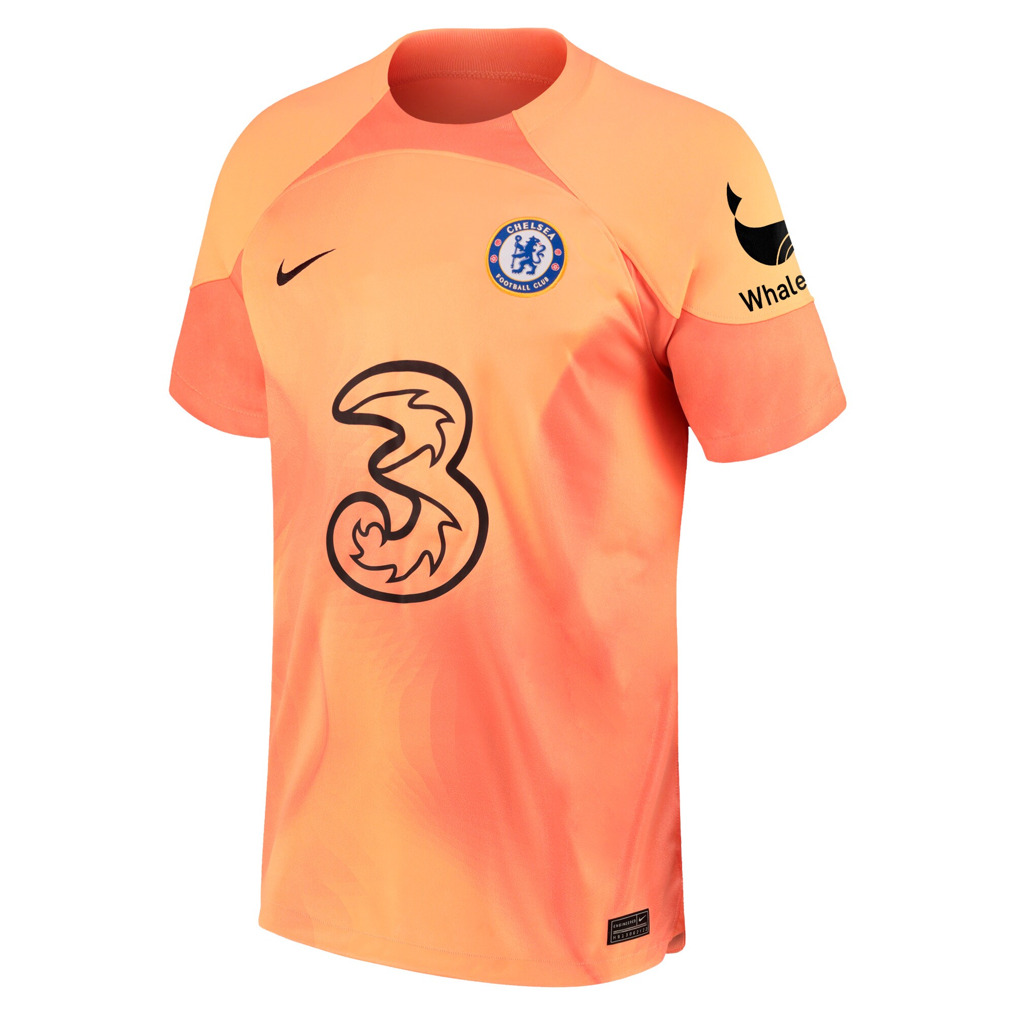Chelsea Cup Goalkeeper Shirt 2022-23 with Berger 30 printing