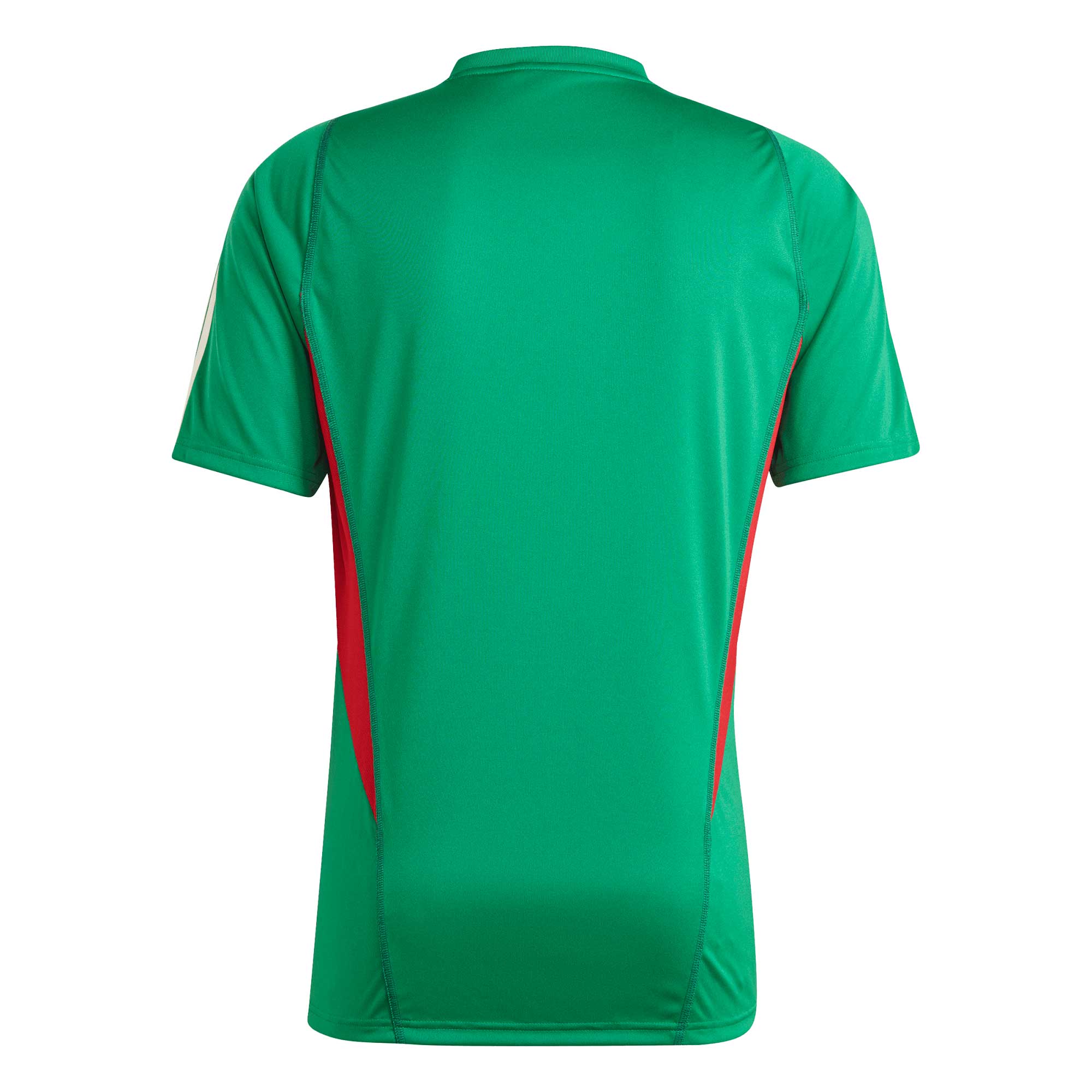 Mexico National Team Practice Training Jersey